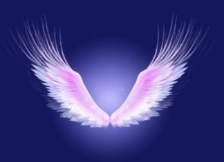 5 Heavenly Angel Wings Photo Editor Apps for Stunning and Adorable Edits on Your Mobile Phone