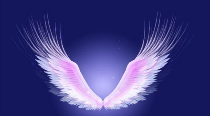 5 Heavenly Angel Wings Photo Editor Apps for Stunning and Adorable Edits on Your Mobile Phone