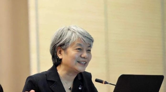 Identifying Exceptional IQ Through Early Childhood Indicators