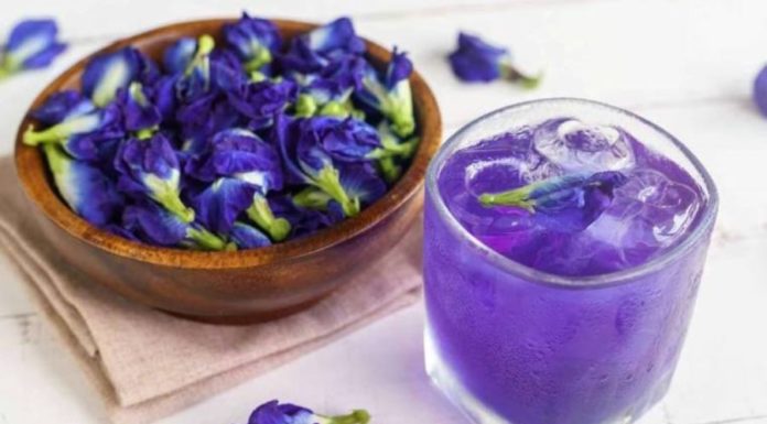Butterfly Pea: Beyond Beauty, a Potent Potion of Health