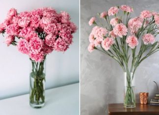 Unlock the Art of Floral Flair: Master the Delicate Grace of Gladiolus Arrangements