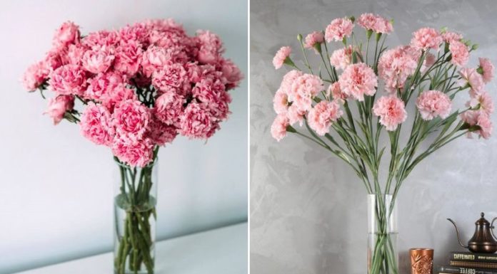 Unlock the Art of Floral Flair: Master the Delicate Grace of Gladiolus Arrangements