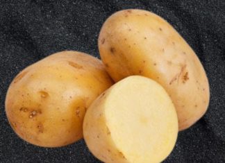 Amazing Year-Round Root Vegetable at Your Local Market: Follow This Method to Boost Weight Loss