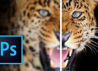 2 Ways to Sharpen Photos in Photoshop: Simple, Effective, and Easiest to Follow in 2024