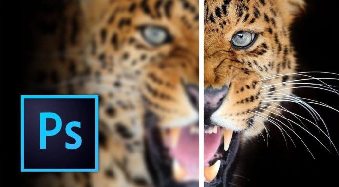 2 Ways to Sharpen Photos in Photoshop: Simple, Effective, and Easiest to Follow in 2024