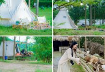 Camp out, have a barbecue, go kayaking, and more near the Capital