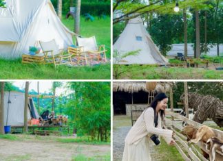 Camp out, have a barbecue, go kayaking, and more near the Capital