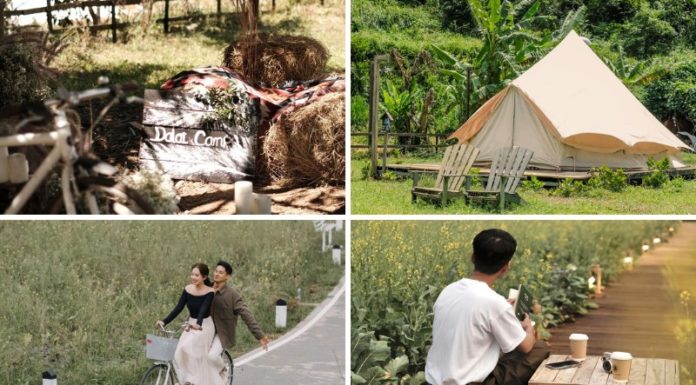 Explore 5 Exciting Destinations for Play and Relaxation in April 2024