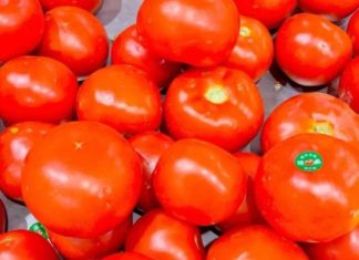 3 Vegetable Types That Are Dirt Cheap In April But Should Be Avoided At All Costs