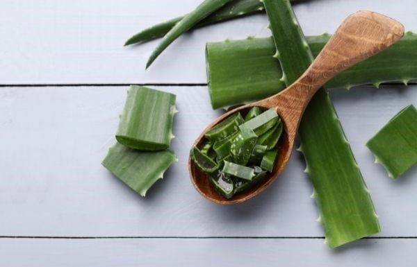 The AZ of Aloe Vera Beauty Benefits That Few People Know About