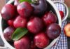 Bitter-Sweet Fruit: A Tasty Treat That Combats Cancer, Regulates Blood Sugar