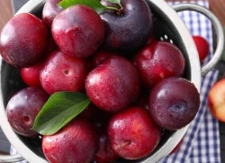 Bitter-Sweet Fruit: A Tasty Treat That Combats Cancer, Regulates Blood Sugar