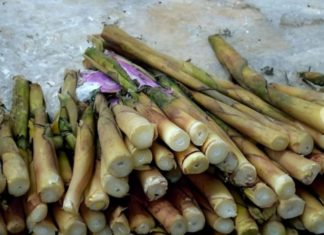 Natural Toxins in Bamboo Shoots and Cassava: Safe Detoxification Methods