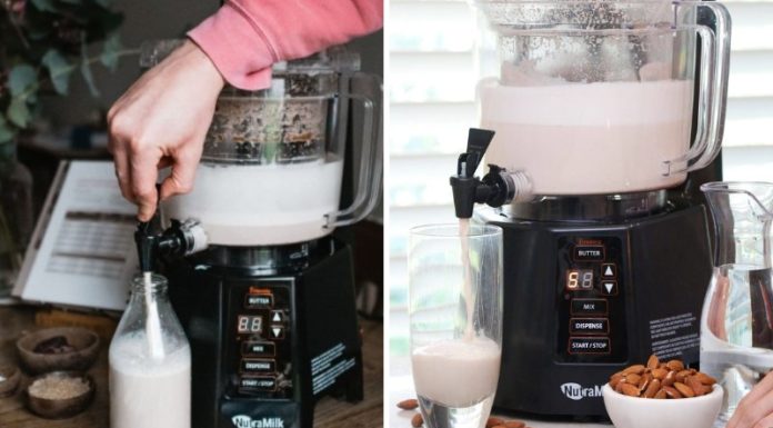 Which Is More Versatile: A Nut Milk Maker or a Blender? Pros and Cons of Both