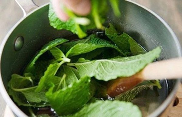 Five Non-Toxic, Cost-Effective, and Easy Ways to Rid Your Home of Rodents