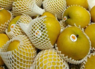 Unlock Hidden Value with Fruit Netting: A Multipurpose Solution