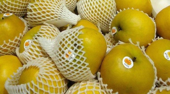 Unlock Hidden Value with Fruit Netting: A Multipurpose Solution