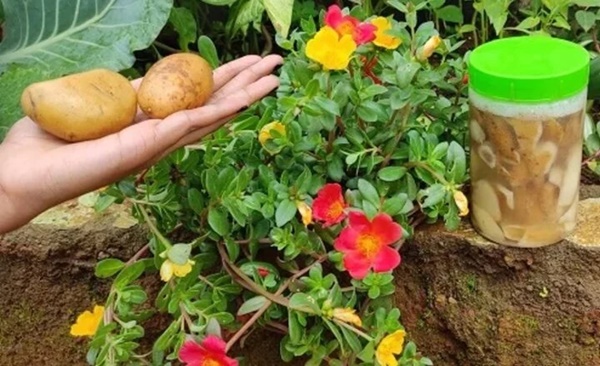 Peel the potato skins and make them useful