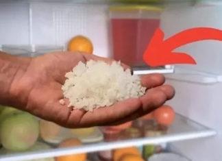 The Unexpected Benefits of Placing a Bowl of Salt in Your Fridge