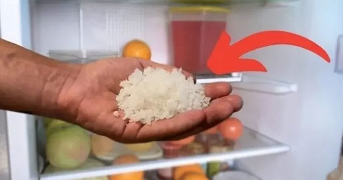 The Unexpected Benefits of Placing a Bowl of Salt in Your Fridge