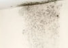 Moldy Wall Treatment: Simple, Effective Methods