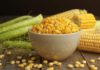 Corn on the Cob: Don’t Just Boil It, Fry It This Way for Perfectly Golden, Crispy, and Crave-Worthy Results