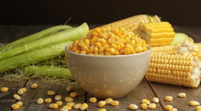 Corn on the Cob: Don’t Just Boil It, Fry It This Way for Perfectly Golden, Crispy, and Crave-Worthy Results