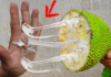 Unclogging the Stickiness: A Quick and Easy Solution for Sticky Mango Hands