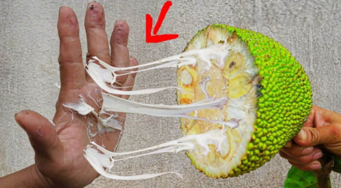Unclogging the Stickiness: A Quick and Easy Solution for Sticky Mango Hands