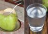 Are You Allowed to Drink Coconut Water When You Have a Fever?