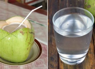 Are You Allowed to Drink Coconut Water When You Have a Fever?