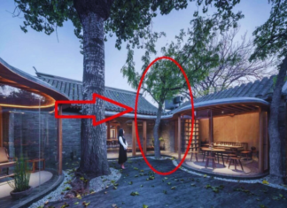 What Are the Three Forbidden Items in the Living Room and the Three Forbidden Plants in the Yard?