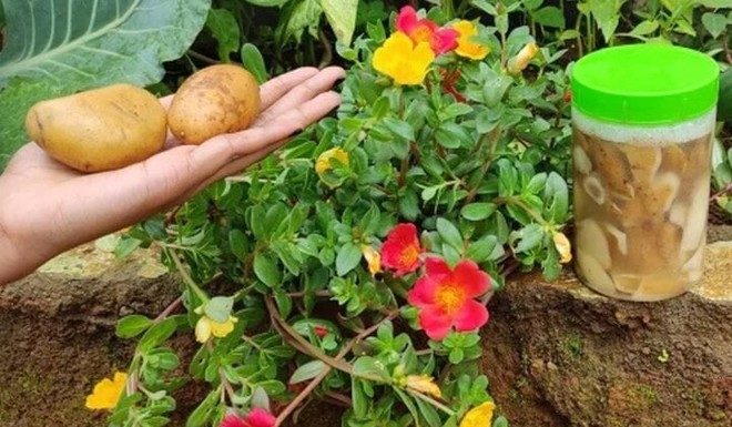 Potato Peel Hacks That Will Make You Peel Good