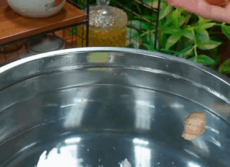 Unveiling the Secrets to Juicy, Tender, and Golden-Crisp Boiled Chicken