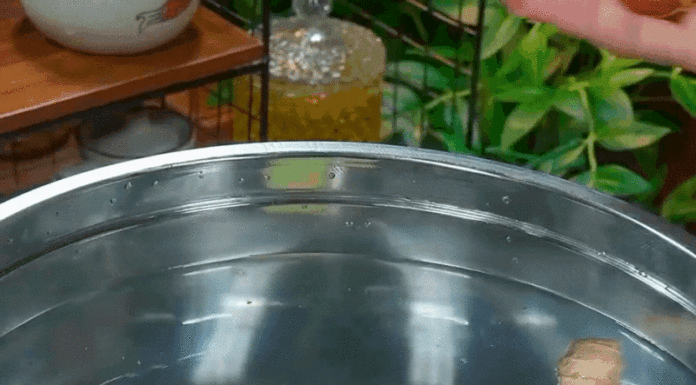 Unveiling the Secrets to Juicy, Tender, and Golden-Crisp Boiled Chicken