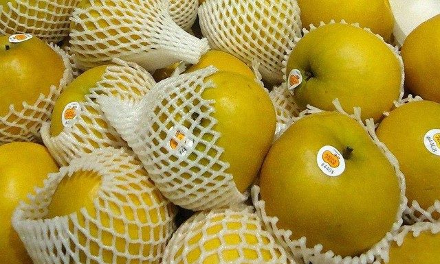 Household Mesh Bag: A Thrift Master’s Secret Weapon