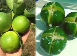 Mother’s Bedside Lemon Mystery Solved: Benefits Revealed