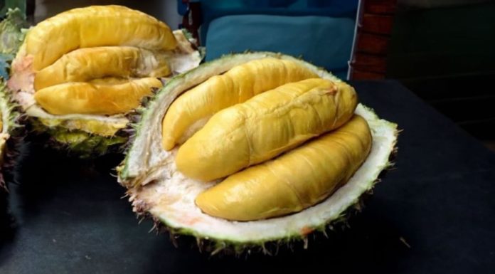 Tips for Choosing Durian with Abundant Flesh and Few Seeds: Every Fruit a Delicacy