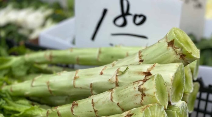 Old vegetable that no one wanted is now a delicacy that everyone loves. When cooked with shrimp soup, it tastes really great.