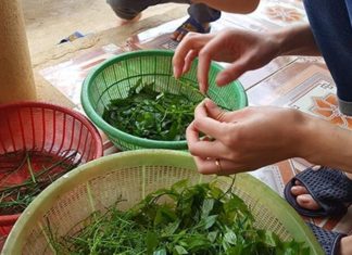 The Vegetable Everyone Thinks is Perfect for Mashing. Just Throw It In Soups for a Sweeter Flavor, Double the Nutrients