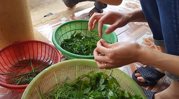 The Vegetable Everyone Thinks is Perfect for Mashing. Just Throw It In Soups for a Sweeter Flavor, Double the Nutrients