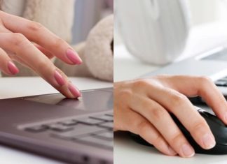 How to Quickly and Efficiently Test a Mouse