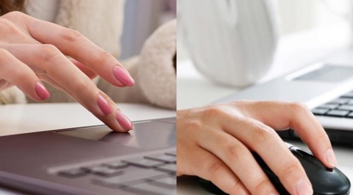 How to Quickly and Efficiently Test a Mouse