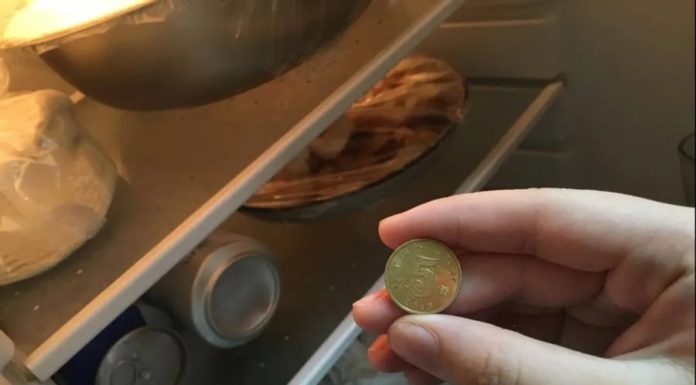 Why Do Smart People Put a Coin in the Fridge Before Every Vacation?