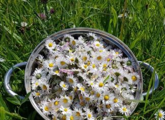 7 Types of Tea for Brighter, Smoother Skin