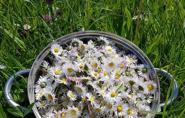 7 Types of Tea for Brighter, Smoother Skin