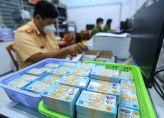 Citizen Information Look-Up Guide to Verify Your Info, 2023 Edition