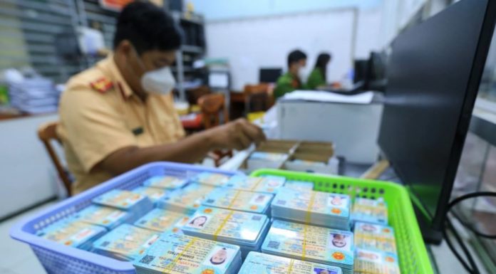 Citizen Information Look-Up Guide to Verify Your Info, 2023 Edition