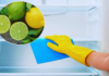 How Squeezing a Lemon Into Your Fridge Can Do Wonders for Your Home (And Why Every Household Needs to Know About It)