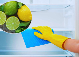 How Squeezing a Lemon Into Your Fridge Can Do Wonders for Your Home (And Why Every Household Needs to Know About It)